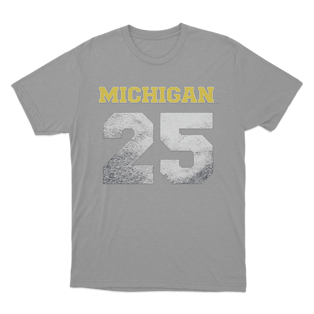 ZB Michigan T Shirt Grey ZB Michigan T Shirt Grey